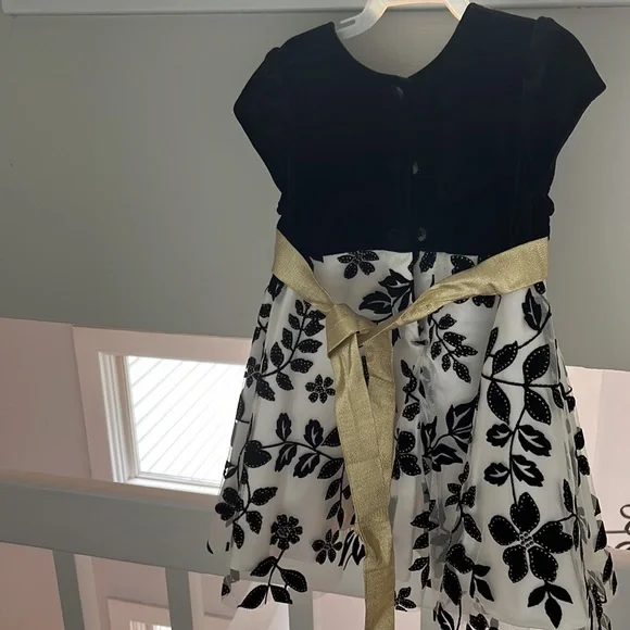 Toddler girl special occasion dress - Picture 4 of 4